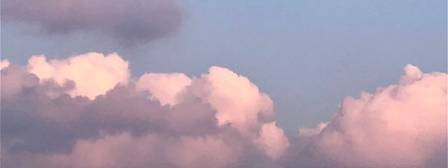 れいさんの壁紙画像