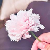 Naoさんのアイコン画像