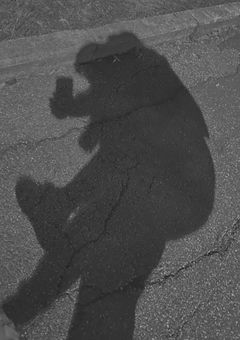 私 は あ な た の 妹