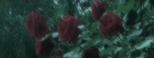 ひ な さんの壁紙画像