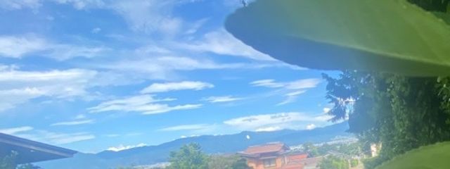 はなびさんの壁紙画像