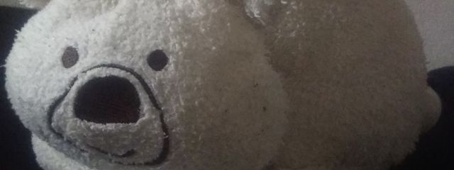 南梨 主子さんの壁紙画像