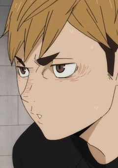 稲荷崎男バレはマネージャーを溺愛中！？