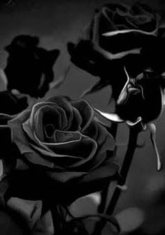 天羽と手を組み信頼関係になった青薔薇の一人が天羽組に..！？しかしその人が和中の嫁だった！？