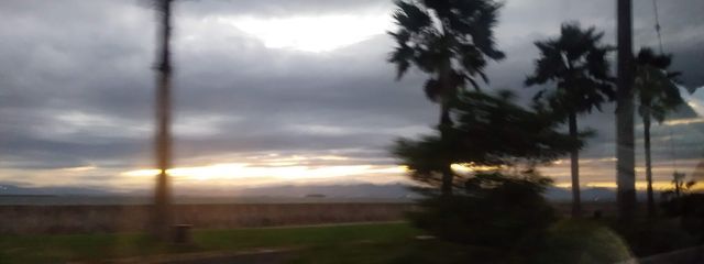 MYさんの壁紙画像