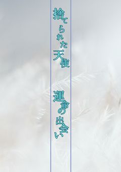 捨てられた天使 〜運命の出会い〜