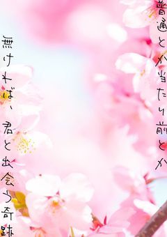 普通とか当たり前とか無ければ、君と出会う奇跡