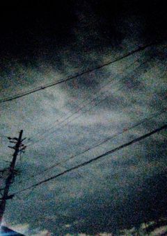 我々国民はどうすべきなんでしょうかね😭
