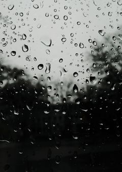 紫と橙の新人には妹がいた…らしい？