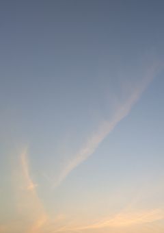 孤高のKドル🪼と9人の優しい狼たち🐺