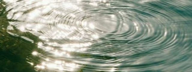 ◇  未  完  成  ナ  鳥   さんの壁紙画像