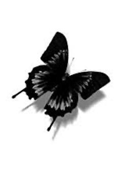 🐹🐨…