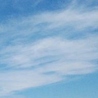 そら。さんのアイコン画像