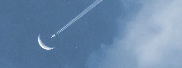 むむさんの壁紙画像
