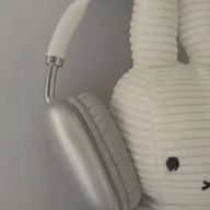 ぴくさんのアイコン画像