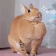 manabamさんのアイコン画像