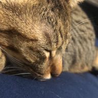 みおさんのアイコン画像