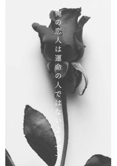 俺の恋人は運命の人ではないようです