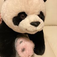 うさみみさんのアイコン画像