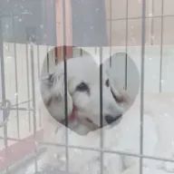 ゆあんくんLoveさんのアイコン画像