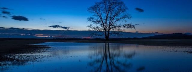 青塚　まみな💎💙　フォロバしますさんの壁紙画像