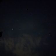 紫病さんのアイコン画像