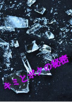 キミとボクの秘密