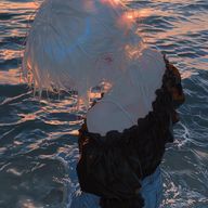 Hinacheese さんのアイコン画像