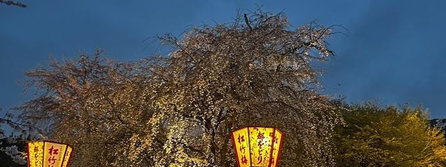 ゆずポン酢が好きさんの壁紙画像