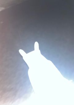 兄はゲーム配信者