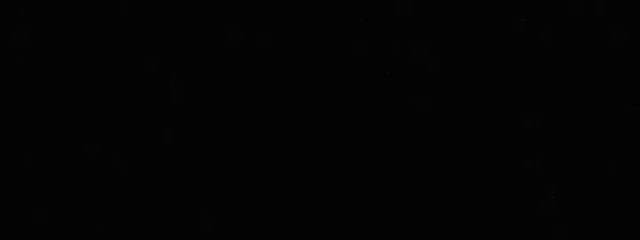 猫菜@低浮上さんの壁紙画像