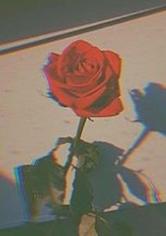 𓂃 𓈒𓏸𑁍‬  T a l k  𑁍‬𓈒𓏸 𓂃