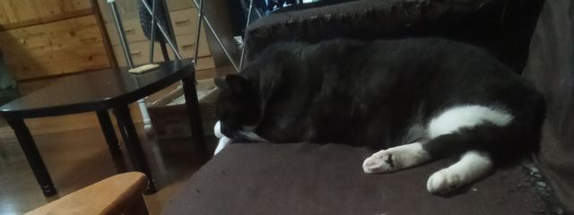 utannooooooooさんの壁紙画像