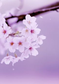 参加型設定