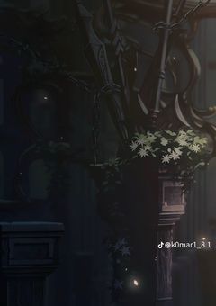宝石の国 ｰ黒ｰ