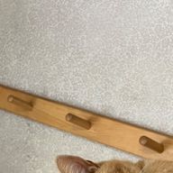 ミ!さんのアイコン画像