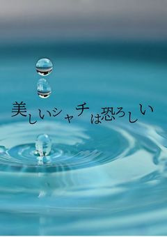 美しいシャチは恐ろしい