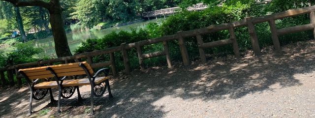 SINOさんの壁紙画像