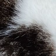 湯葉さんのアイコン画像