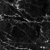 ウメさんのアイコン画像