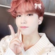 かめさんのアイコン画像