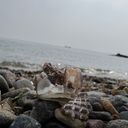 まちょ( ◠‿◠ )