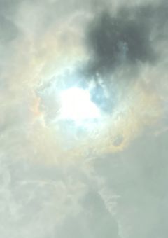 嫌われ恐怖症は本心を隠してる