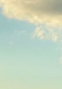 何で僕を好きになったの？