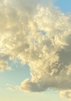 何で俺を好きなったんだ？