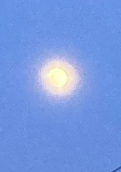 戦乱記-学園の日々-