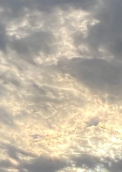 雑食男子、転生しました