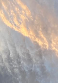 悪女との間に大きな勘違いが起こっていた件について