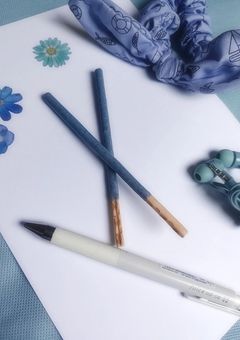 脳ある小鳥は自分を隠す