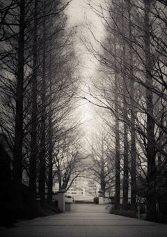 裏垢 バレた 件 について 🙄